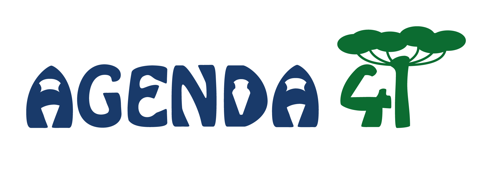 Agenda 41